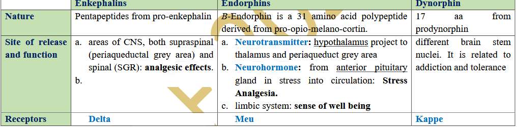<p>• Morphine is a powerful (analgesic) pain killer found in opium acts by combining with receptors in the CNS.</p><p>• <strong>Types of endogenous opioid peptides</strong>: Among about <strong>12 opioid peptides</strong> found in mammals, three are more important:</p><p></p><p><strong>N.B.:</strong> <span class="tt-bg-blue">Opiate Receptors</span>: in areas concerned with pain sensation, e.g. Periaqueductal gray area (PGA), SGR, thalamus, hypothalamus</p>