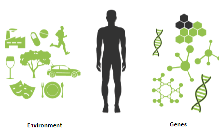 <p>Research has linked <strong>genetic factors</strong> to several anxiety disorders (e.g. <strong>panic disorder</strong>) (Na et al., 2011).</p><p>Anxiety disorders are not based on a single gene but likely have a <strong>complex genetic basis</strong>, which can be affected by <strong>environmental factors</strong>.</p>