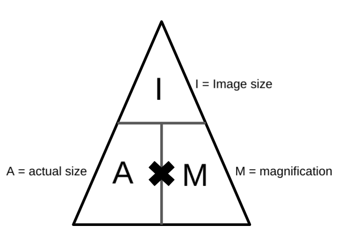 How is the total magnification calculated?