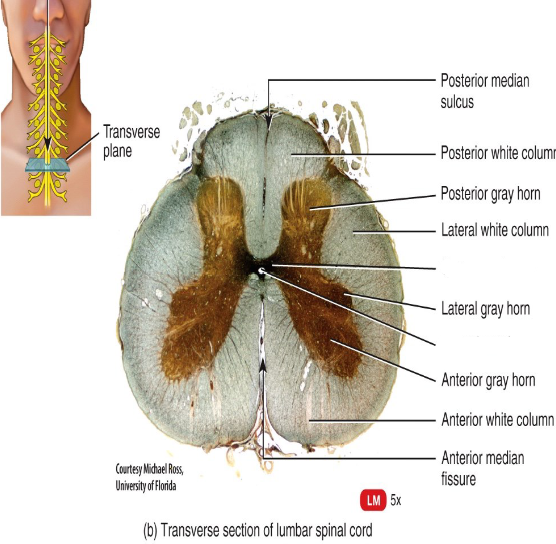 <p>Label the diagram.</p>