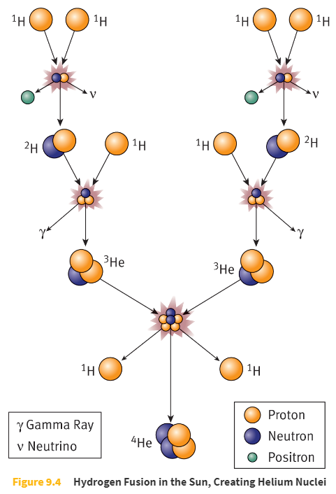 <p>four hydrogen nuclei to make one helium nucleus</p>