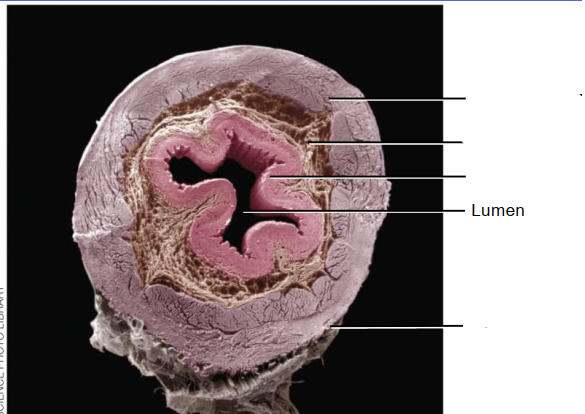 <p>Label the diagram.</p>