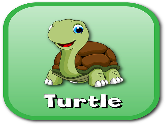 turtle