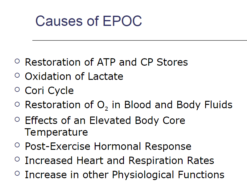 <p>restoration of ATP and CP stores</p><p>oxidation of lactate</p><p>post exercise hormonal response</p><p>increased heart and respiration rates </p>