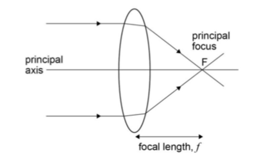 <p>a point on the axis which is the same distance from the optical center as the focal length, this is where light rays travelling parallel to the principal axis prior to refraction converge </p>