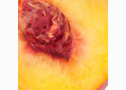 <p>nectarine</p>