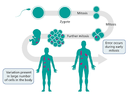 <p>Mutation only present in a proportion of cells</p>