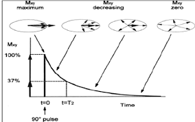 <p>What is T2 in MRI? (1)</p>