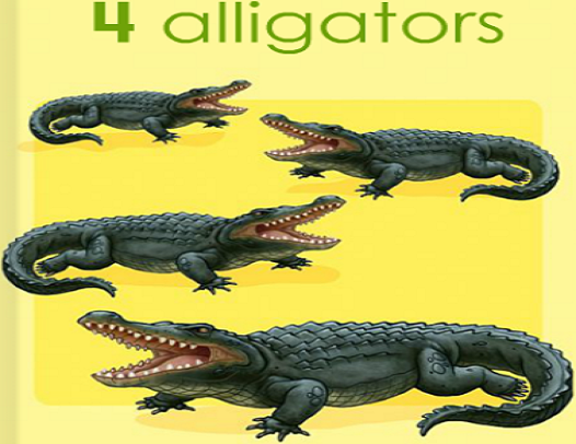 alligators four