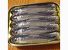 <p>sardines</p>