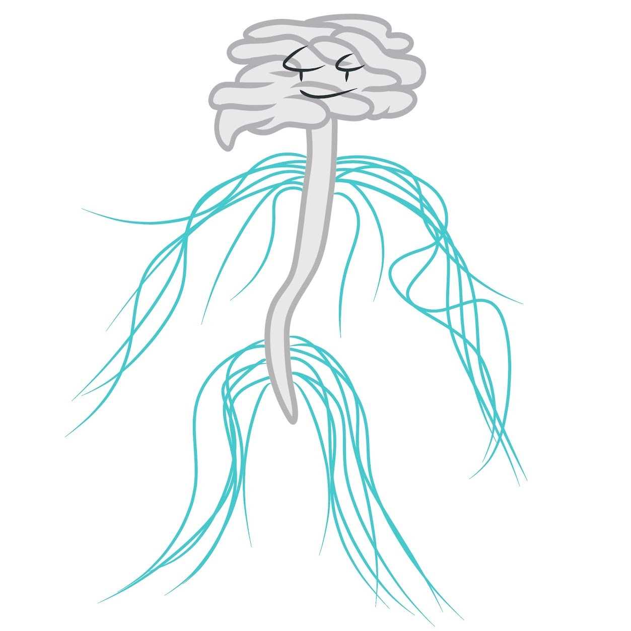 <p><span class="tt-bg-green">Carries information</span> to and out of the CNS; includes peripheral sensory and motor nerves; <span class="tt-bg-green">regulates movement and the internal environment</span></p>