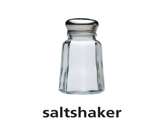 <p>saltshaker</p>