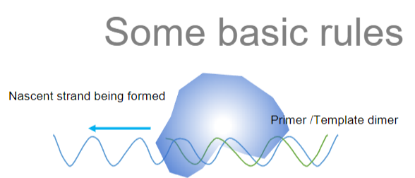 <p><strong>Answer:</strong> The basic rules of PCR regarding nucleic acid synthesis and the enzyme used are:</p><p><strong>Synthesis of New Strands:</strong> PCR synthesizes a new nucleic acid strand by copying a DNA molecule.</p><p><strong>Limitations with RNA:</strong> PCR cannot copy RNA nor make RNA; RNA must <span class="tt-bg-yellow">first be converted to DNA by reverse transcription</span> before it can be amplified by PCR.</p><p><strong>Enzyme Used:</strong> The enzyme used in PCR is a <span class="tt-bg-red">DNA-dependent DNA polymerase</span>, which synthesizes new DNA strands from an existing DNA template.</p>