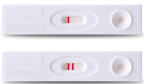 <p>Human chorionic gonadotrophin (hCG) is secreted by the syncytiotrophoblast and increases rapidly during pregnancy.</p><p>hCG binds to LH receptors to prevent the death of the corpus luteum, ensuring continued production of estrogen and progesterone.</p><p>This hormonal shift triggers rapid changes in maternal systems in response to luteal and later placental steroids.</p>