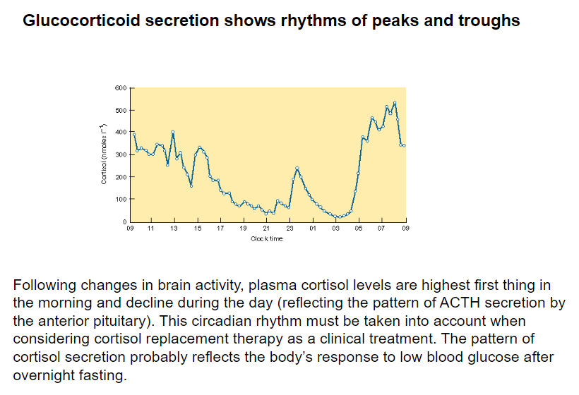 <p><span class="tt-bg-yellow">Glucocorticoid secretion follows a circadian rhythm</span>, with peaks in the morning and troughs throughout the day</p><p>Plasma cortisol levels are highest first thing in the morning and decline during the day, reflecting the pattern of ACTH secretion by the anterior pituitary</p>