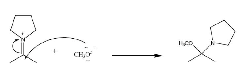 <p>In the following reaction which chemical species is acting like a nucleophile?</p>