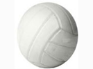 <p>volleyball</p>