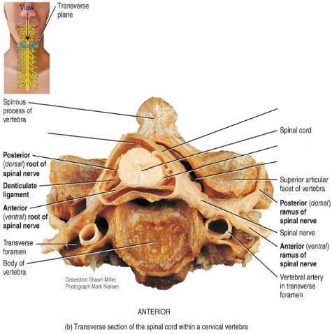 <p>Label the diagram.</p>