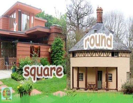 <p>square and round</p>