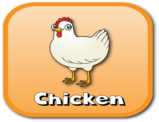 chicken