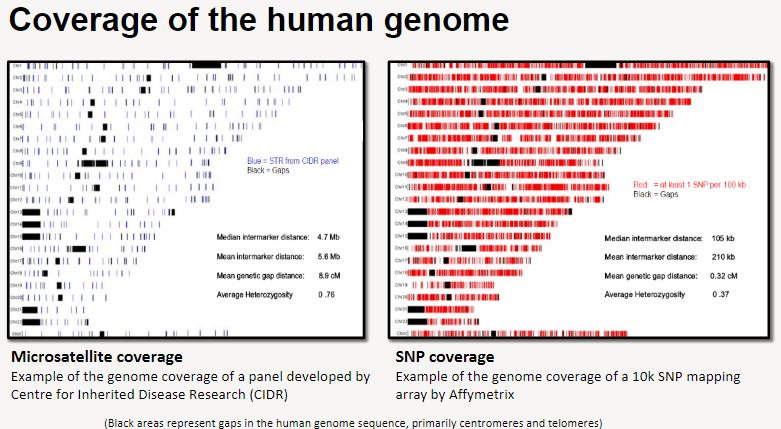 <p>Example of <strong>microsatellite coverage</strong>: A panel developed by the <strong>Centre for Inherited Disease Research (CIDR)</strong>.</p><p>Microsatellites help analyze <strong>specific regions</strong> of the genome, but gaps exist, particularly in <strong>centromeres and telomeres</strong> (represented by black areas).</p>