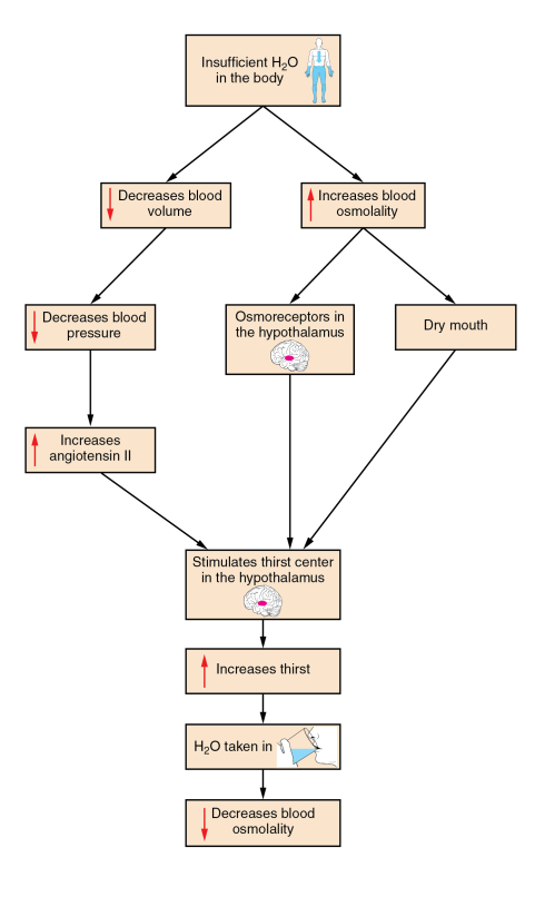 <p>What is this diagram showing?</p>