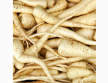 <p>parsnips</p>