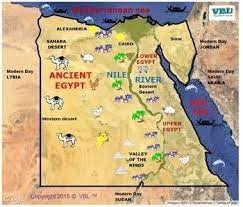 <p>The Egyptians took the gold from the countries they conquered, these lands also had to pay taxes and the Egyptians sold the natural resources.</p>