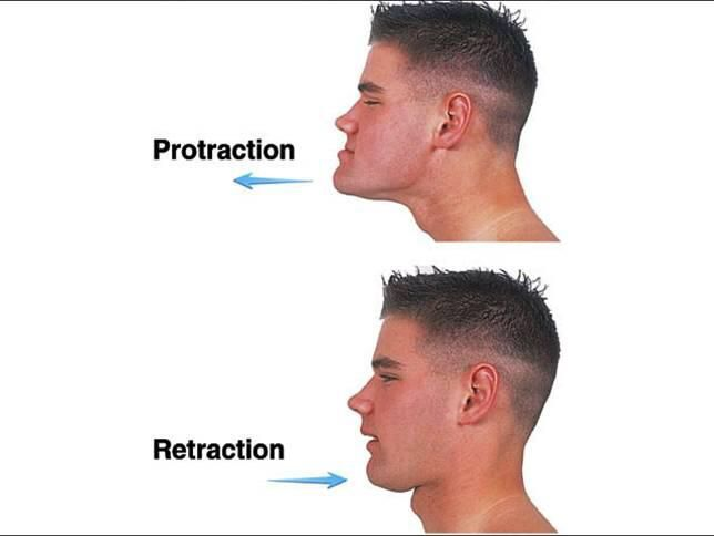 <p>Protraction:</p><p>Moving a body part in the anterior direction.</p>