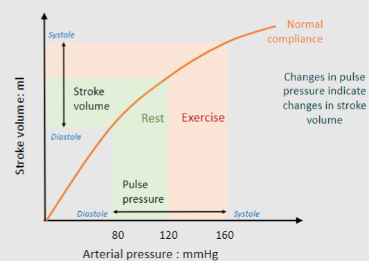 <p>Rest v Exercise• Greater stroke volume• Greater stretch of arteries• Less compliant• Relatively greater systolic pressure</p>