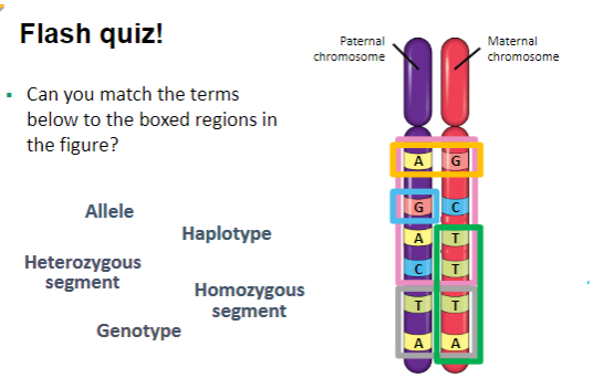 <p>Can you match the terms</p><p>below to the boxed regions in</p><p>the figure?</p>