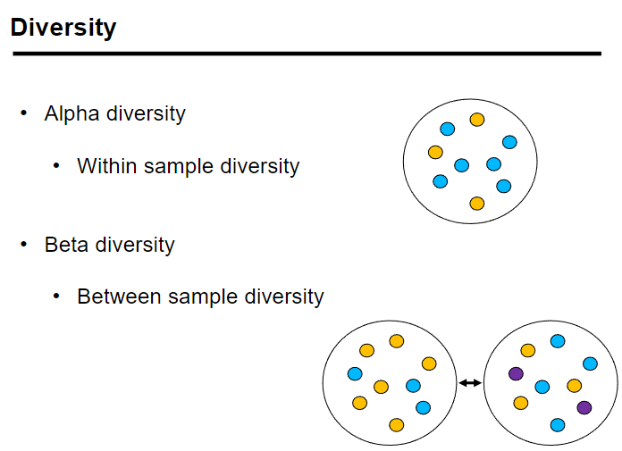 <p><strong>Alpha diversity</strong>: Measures the <strong>within-sample diversity</strong>, referring to the diversity of species within a single sample.</p><p><strong>Beta diversity</strong>: Measures the <strong>between-sample diversity</strong>, comparing diversity between different samples.</p><p><strong>Alpha diversity</strong> can be quantified by metrics like <strong>species richness</strong> and <strong>species diversity</strong>.</p><p><strong>Beta diversity</strong> quantifies how different the microbial communities are across various samples.</p>