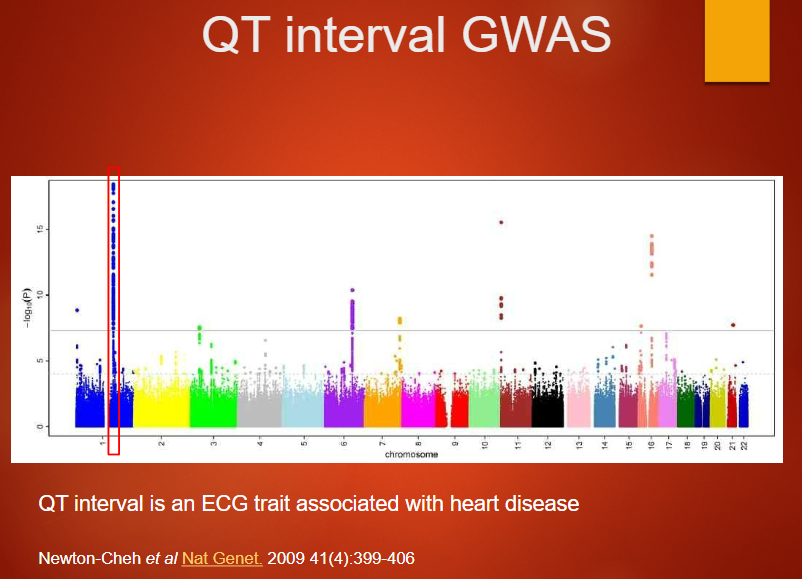 <p><strong>QT interval</strong> is an <strong>ECG trait</strong> that measures the time between the Q and T waves, reflecting <strong>ventricular repolarization</strong>.</p><p><strong>GWAS</strong> of the QT interval can identify <strong>genetic variants</strong> that influence heart rhythm and are associated with <strong>heart disease</strong>.</p><p>Variants identified can help <strong>predict risk</strong> for conditions like <strong>arrhythmias</strong> or <strong>sudden cardiac death</strong>.</p>