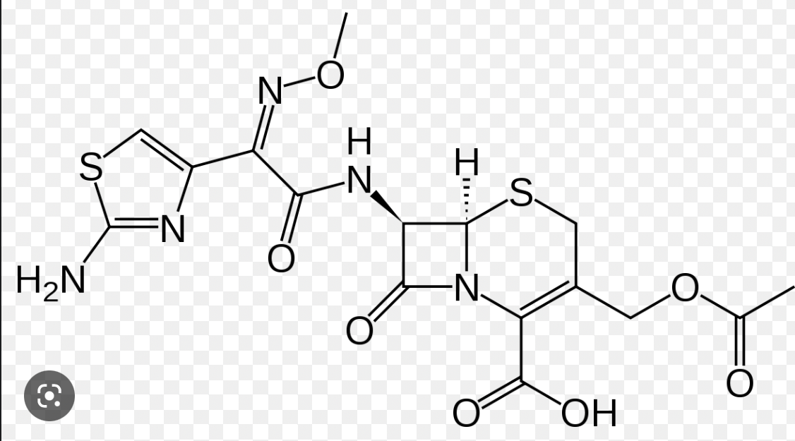 <p>what is the functional group that is important for cns penetration?</p><p>which two oral cephs have this group?</p>