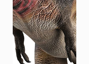 <p>dinosaur</p>