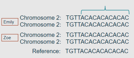 <p>No, two people differ in DNA sequence at ~9 million bases.</p>