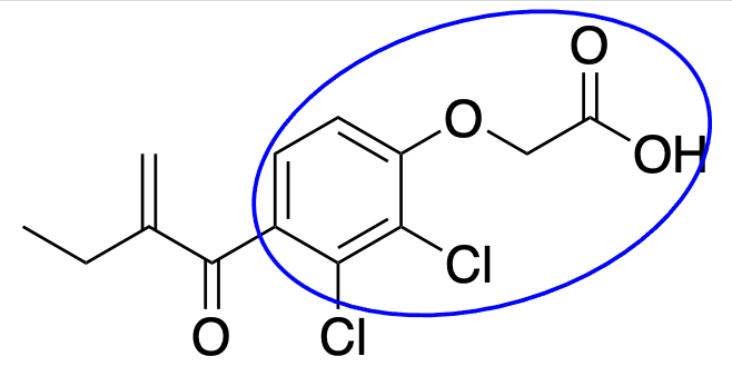 <p>This is <strong><span class="tt-bg-yellow">Ethacrynic</span></strong> acid. </p><p>What is unique about its MOA? </p><p>What is the name of this group? </p>