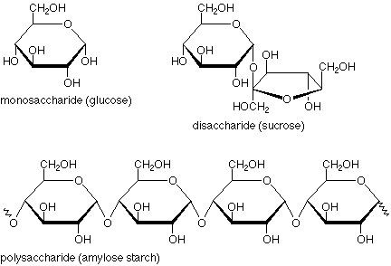 <p>•All have the formula (CH2O)n• Two kinds of monosaccharides:1) Ketone based → ketose2) Aldehyde based → aldose• Number of C-atoms determinesname:▫ triose, tetrose, pentose, hexose,heptose• They have chiral centres= enantiomers</p>