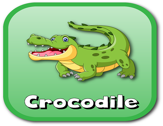 crocodile