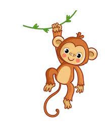 <p>monkey</p>