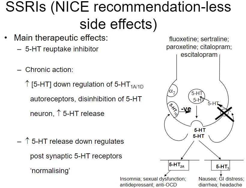 <p><strong>Main effects:</strong></p><p><strong>5-HT reuptake inhibition:</strong> Increases serotonin (5-HT) levels in the synapse.</p><p><strong>Chronic action:</strong> Leads to downregulation of 5-HT1A/1D autoreceptors, disinhibiting serotonin neurons and enhancing serotonin release.</p><p><strong>Normalization:</strong> Chronic increase in serotonin causes the downregulation of postsynaptic 5-HT receptors.</p><p><strong>Common SSRIs:</strong> Fluoxetine, sertraline, paroxetine, citalopram, escitalopram.</p><p><strong>Side effects:</strong></p><p><strong>GI distress:</strong> Nausea, diarrhea, headache.</p><p><strong>Sleep disturbances:</strong> Insomnia.</p><p><strong>Sexual dysfunction:</strong> Common with SSRIs.</p>