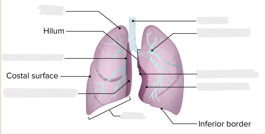 <p>Label the diagram</p>