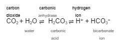 <p>Excreting one bicarbonate ion is the same as gaining one __________ ____ because it pushes the equation to the ______ and ________ the hydrogen ion level.</p>