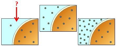 The cell in the picture is sitting in what type of tonic solution?