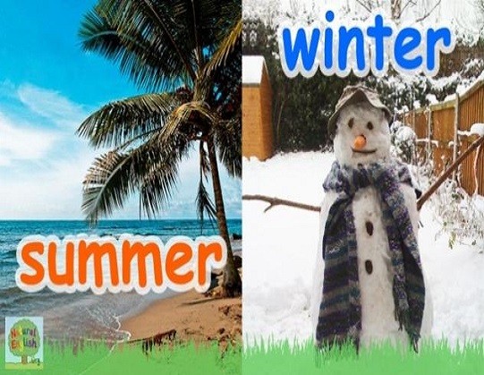 <p>summer and winter</p>