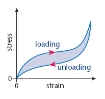 The loading curve is the c urve produced when the force applied is increasing
The unloading curve is the curve produced when the force applied is decreasing 

As the unloading curve is under the loading curve this shows that the rubber gives up less energy than it originally took in 