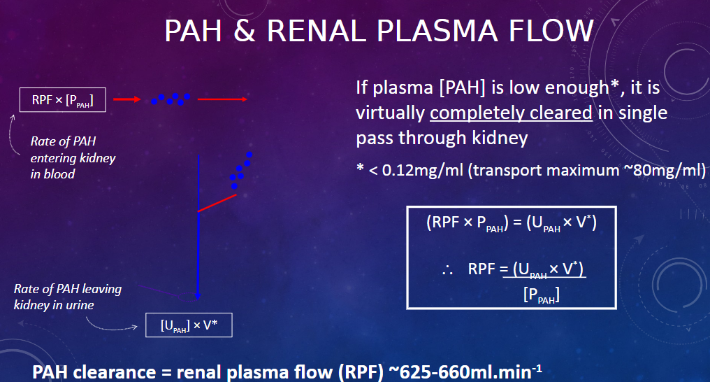 <p>𖹭 Plasma [PAH] &lt; 0.12mg/ml (transport maximum ~80mg/ml)</p>