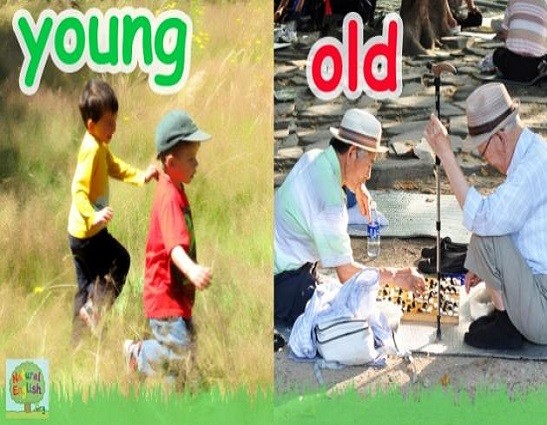 <p>young and old</p>