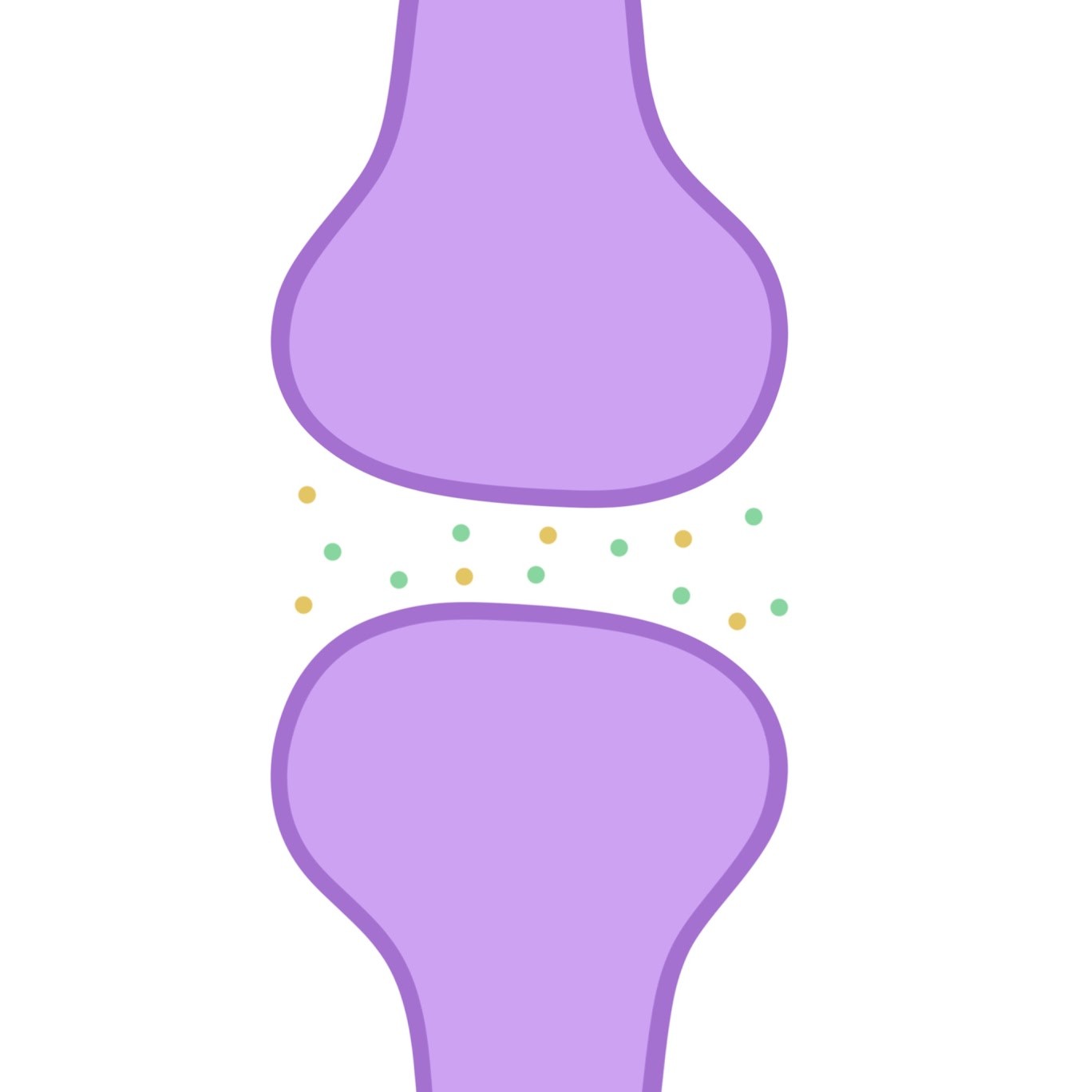 <p><span class="tt-bg-green">Passes information</span> across the synapse in the form of <span class="tt-bg-green">neurotransmitters</span> (chemical messengers)</p>