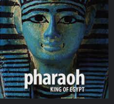 <p>‘I am the king of Egypt.’</p>